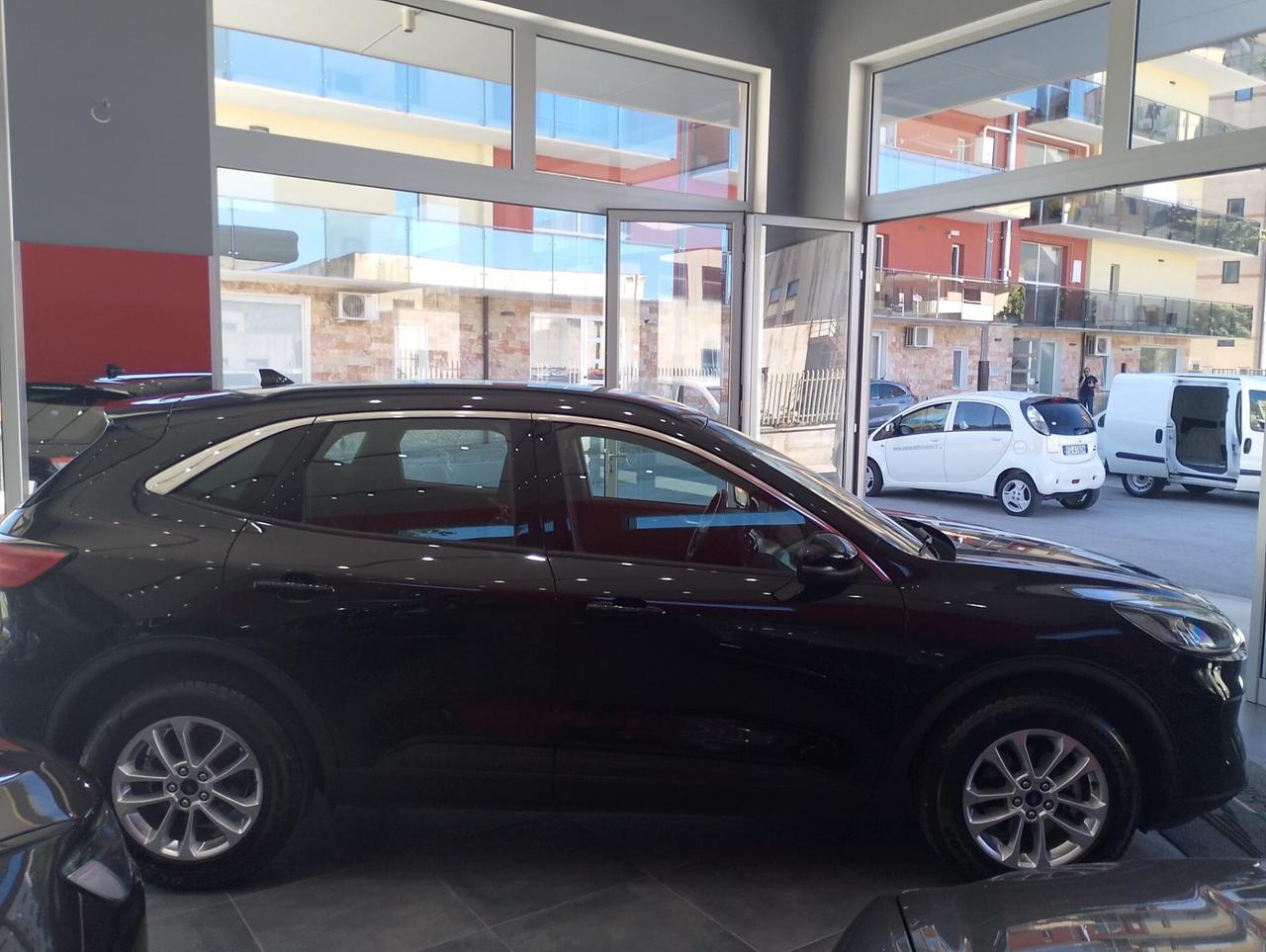 Ford Kuga 1.5 EcoBlue 120 CV aut. 2WD Titanium Business