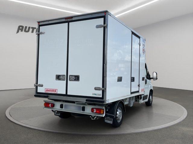 PEUGEOT Boxer Cella frigo +12 -20 165CV
