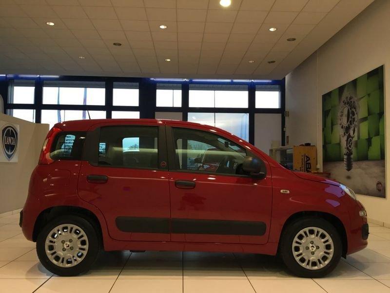 FIAT Panda Panda 1.0 FireFly S&S Hybrid Pop 65cv