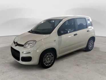 FIAT Panda NEW My25 1.0 70cv Hybrid Panda