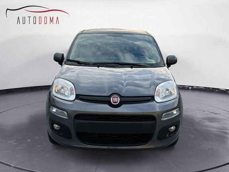 FIAT Panda Panda 1.2 Lounge
