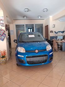 Fiat Panda Pandina 1.0 FireFly 65 CV Hybrid Icon