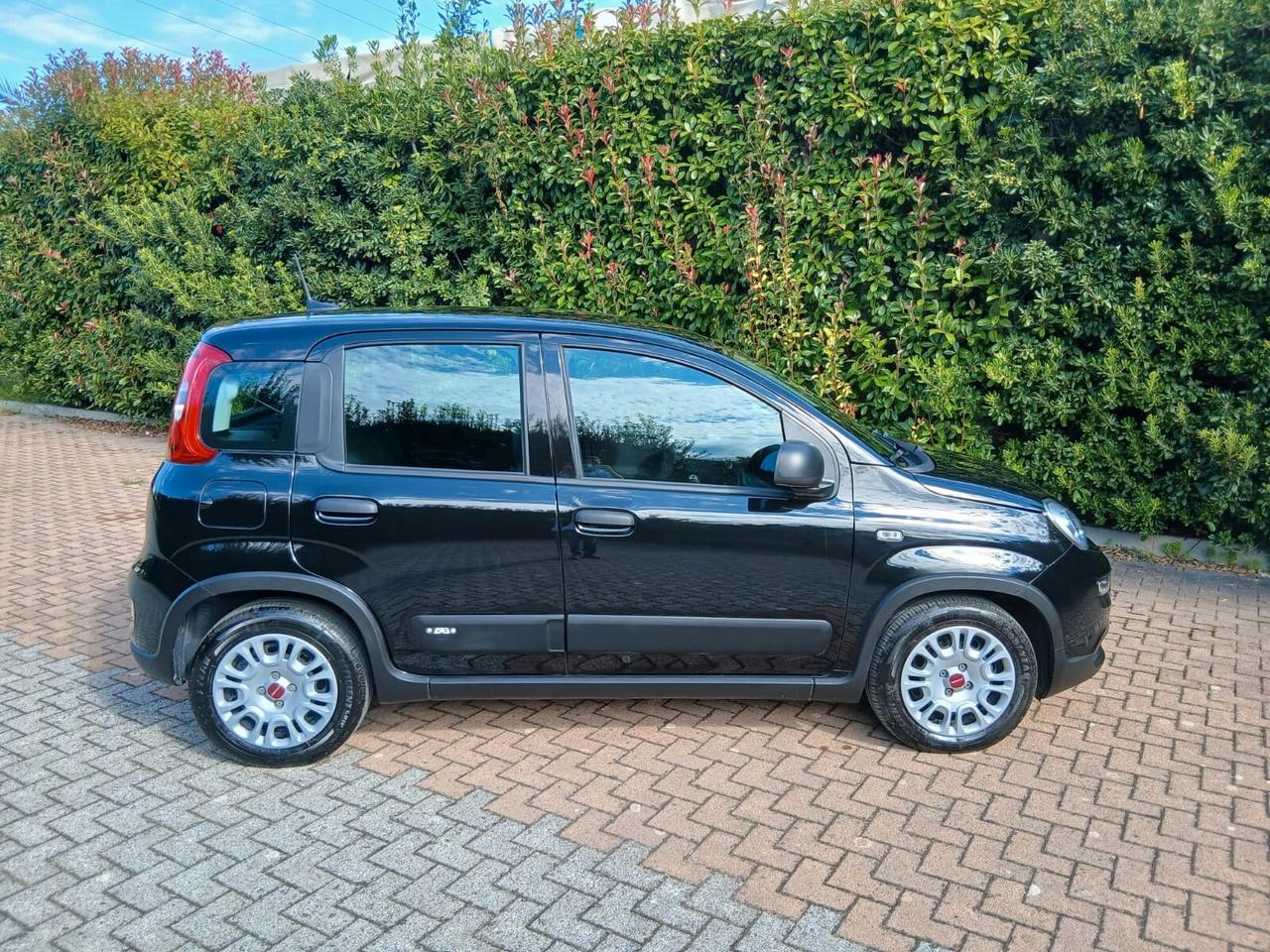 Fiat Panda Firefly sas hybrid