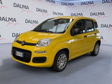 FIAT Pandina III 2024 - Pandina 1.0 firefly hybrid Pop s&s 70cv