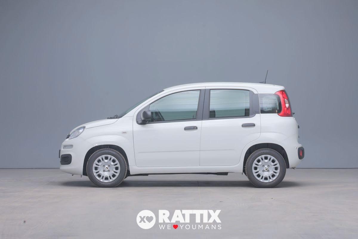 Fiat Panda 1.0 firefly hybrid 70CV Icon