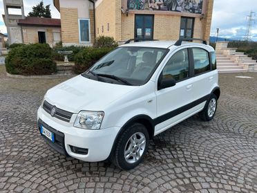 Fiat Panda 1.2 Climbing Natural Power