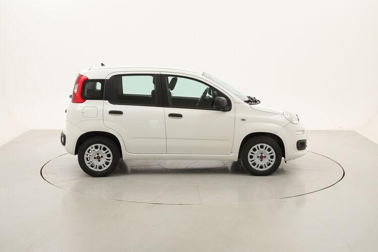 Fiat Panda Easy BR261215 1.2 Benzina 69CV