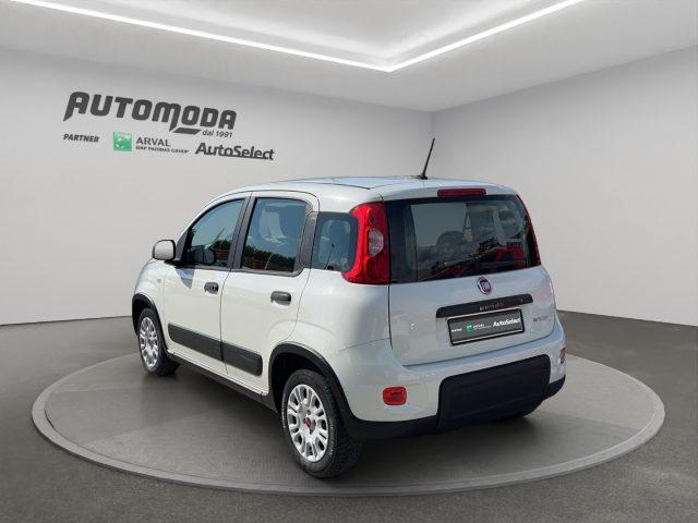 FIAT Panda 1.0 HYBRID 4 POSTI N1 AUTOCARRO