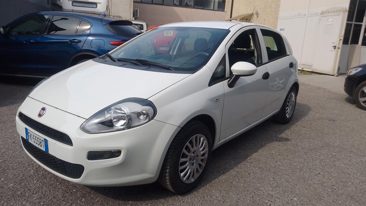 Fiat grande Punto 1.2 8V 5 porte Street 2017 BZ neopatentati