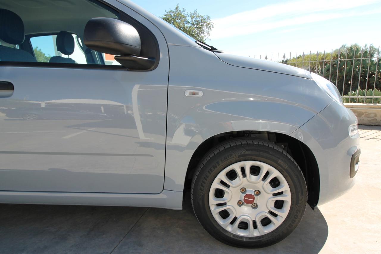 Fiat Panda 1.0 FireFly S&S Hybrid |21.920km|2022