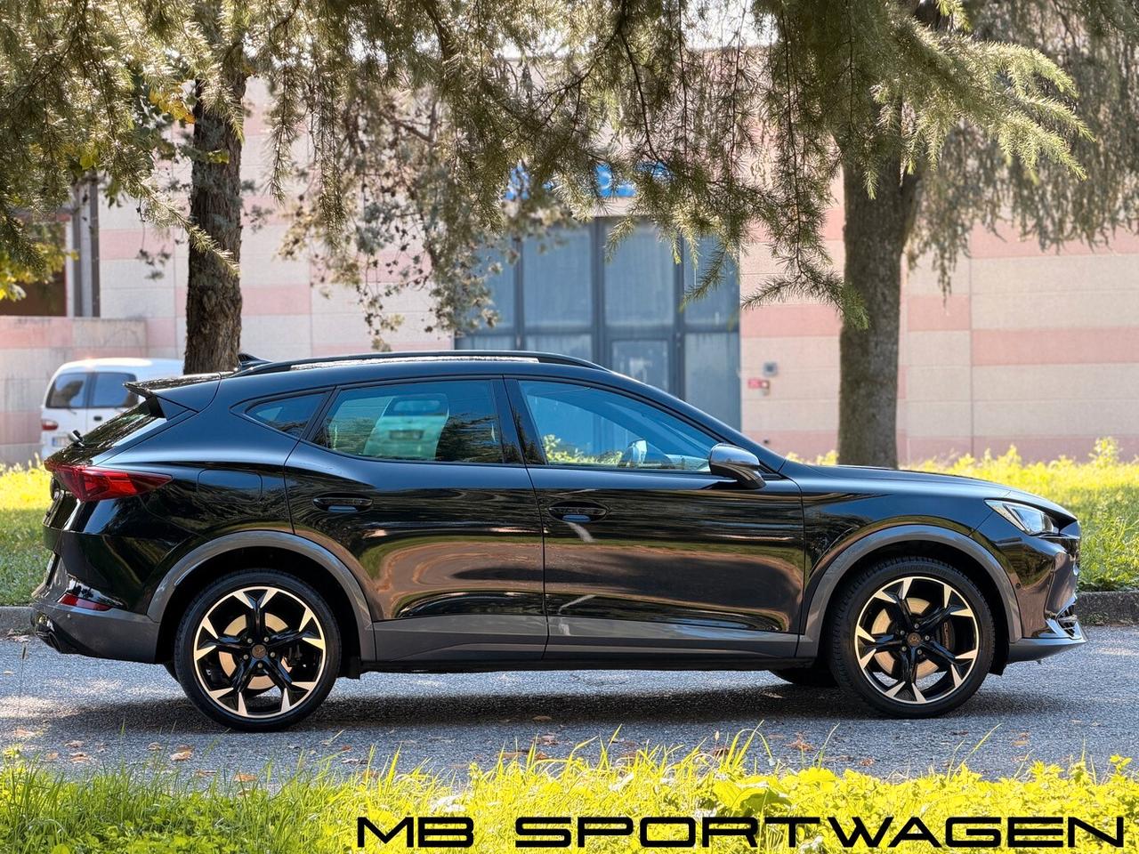 CUPRA FORMENTOR 2.0 TSI 245 CV DSG