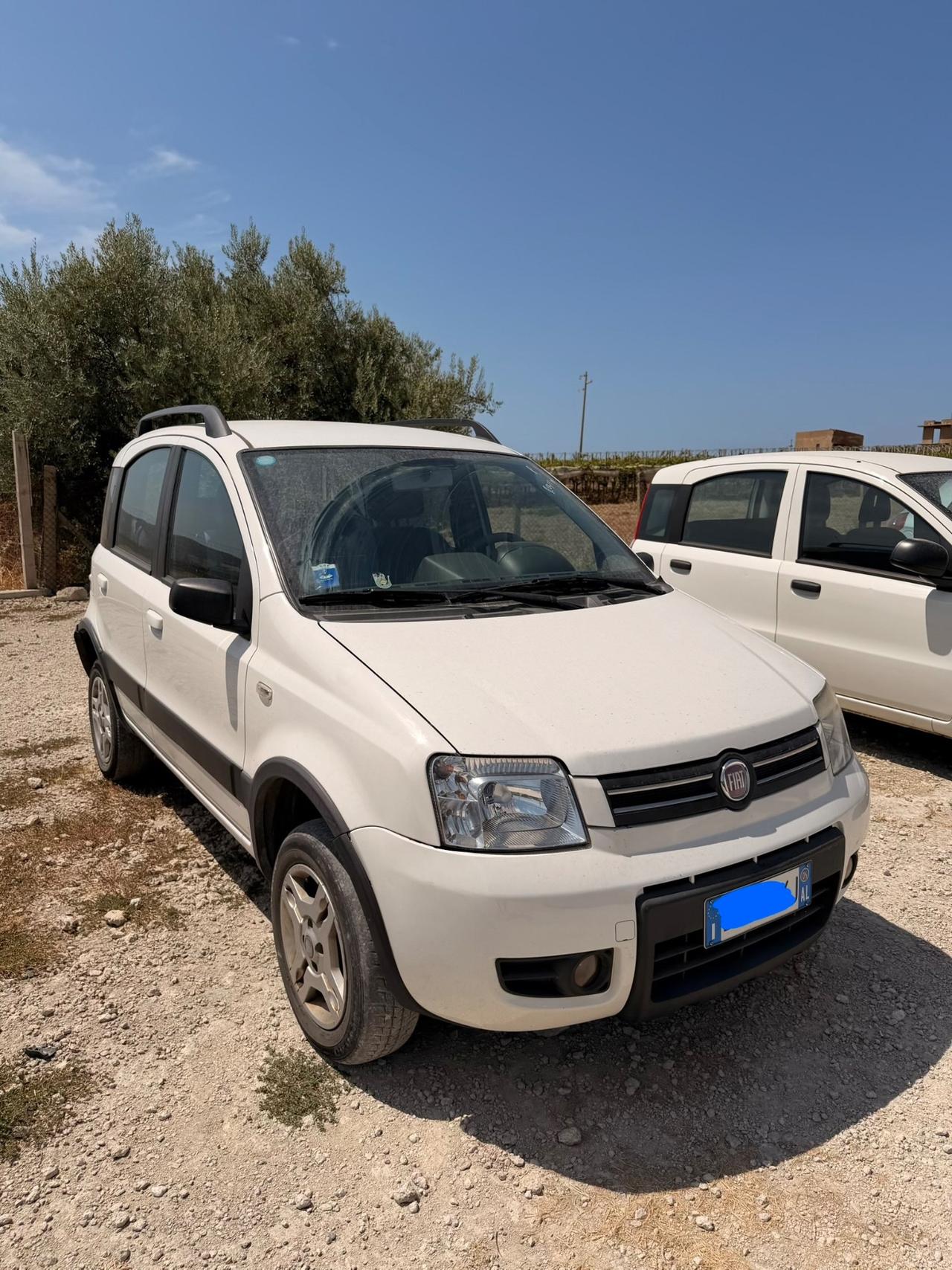 Fiat Panda 1.3 MJT 16V 4x4 Climbing anno 2009