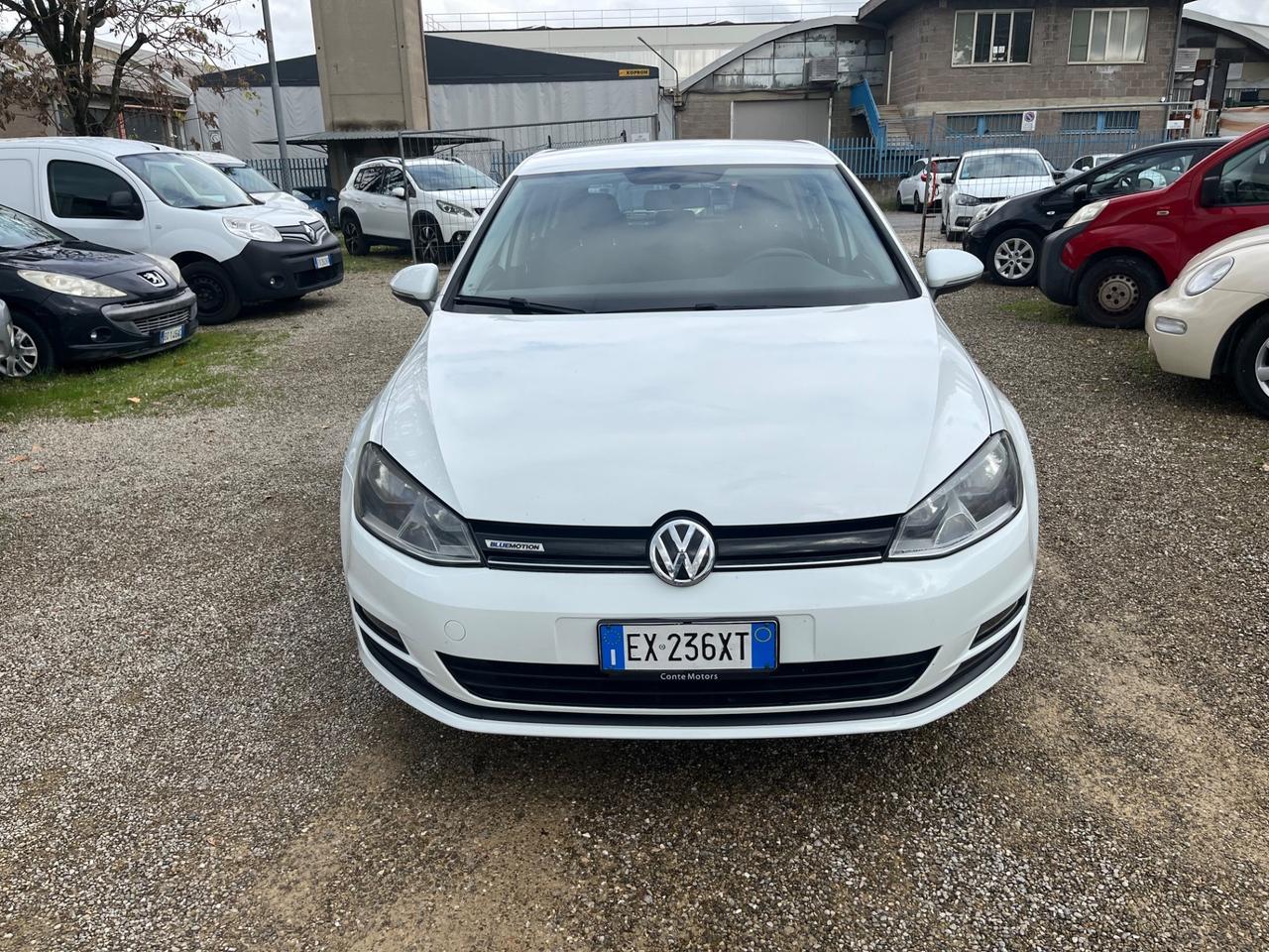 Volkswagen Golf Business 1.4 TGI 5p. Comfortline BlueMotion