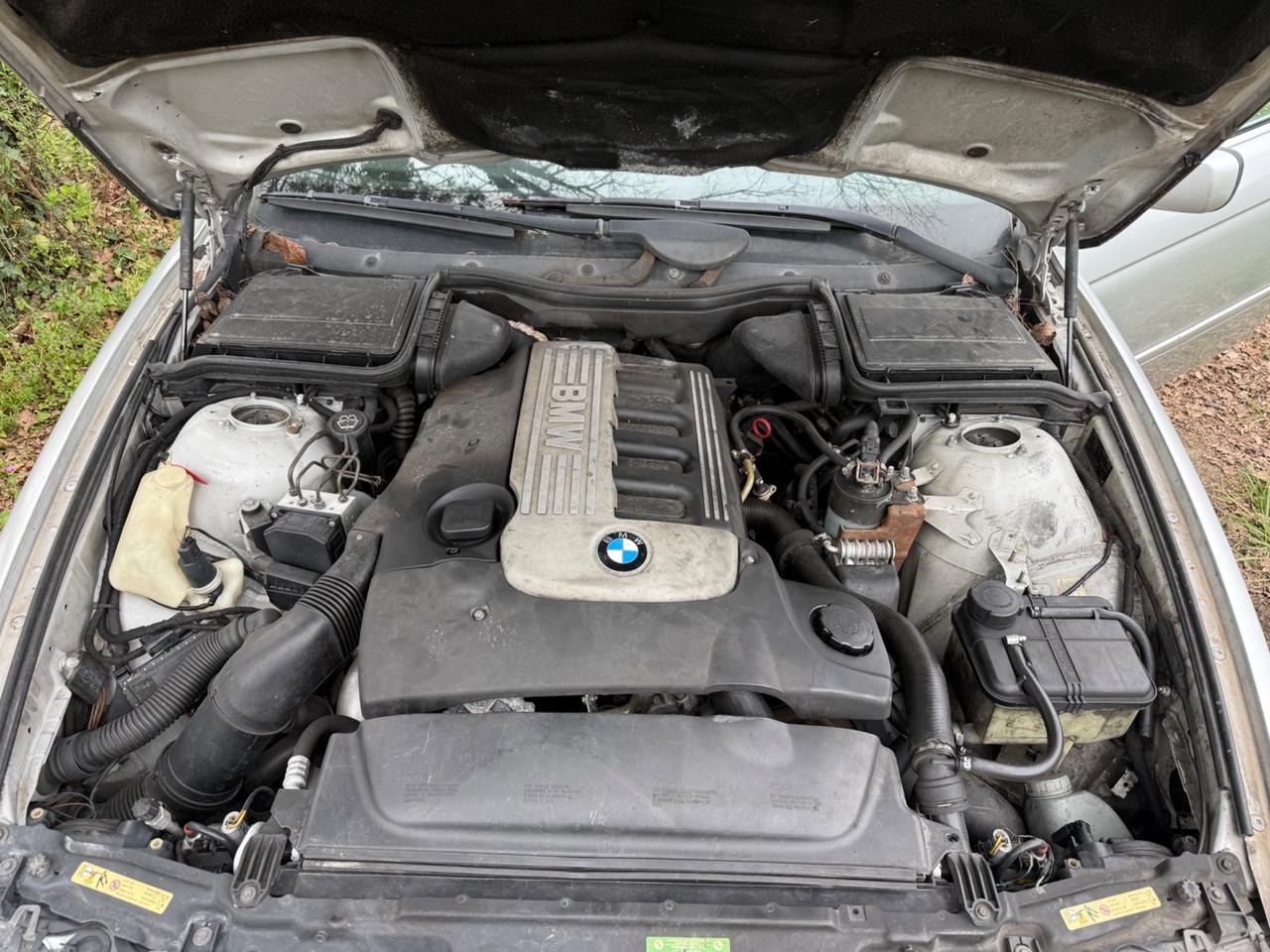 Bmw 530d 24V cat Touring Futura 193cv