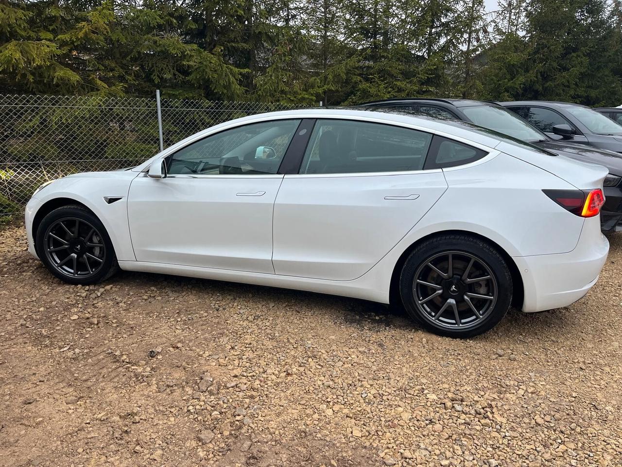 Tesla Model 3 Standard RWD Plus