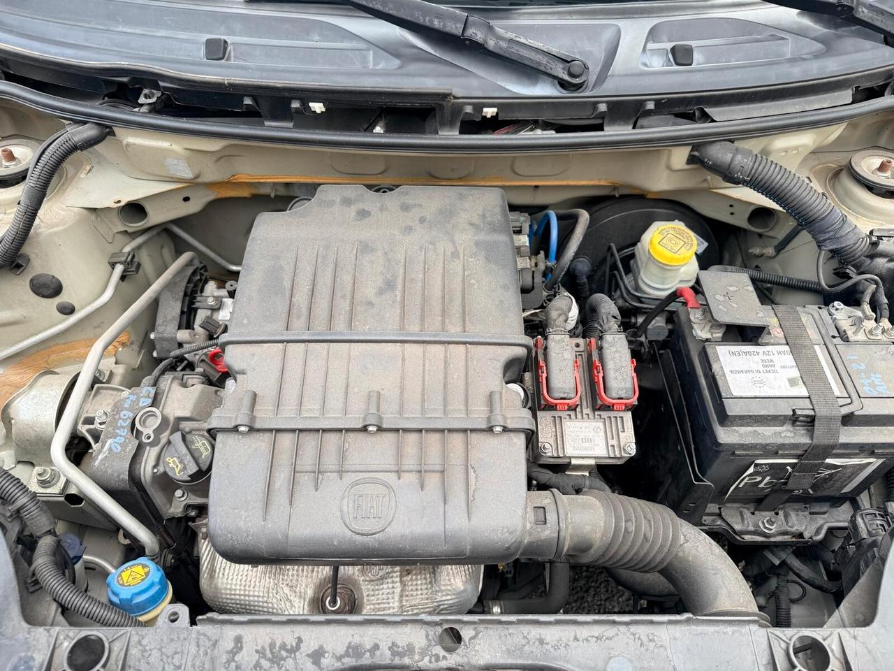 Fiat Panda 1.2 Active 69CV ***OK NEOPATENTATI***