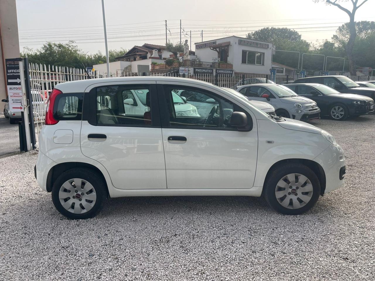 Fiat Panda 1.2 Easy, PEZZO REALE, NEOAPTENTATI, EURO 6 D TEMP