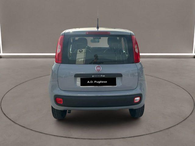 FIAT Panda 3ª serie - 0.9 TwinAir Turbo Natural Power Easy