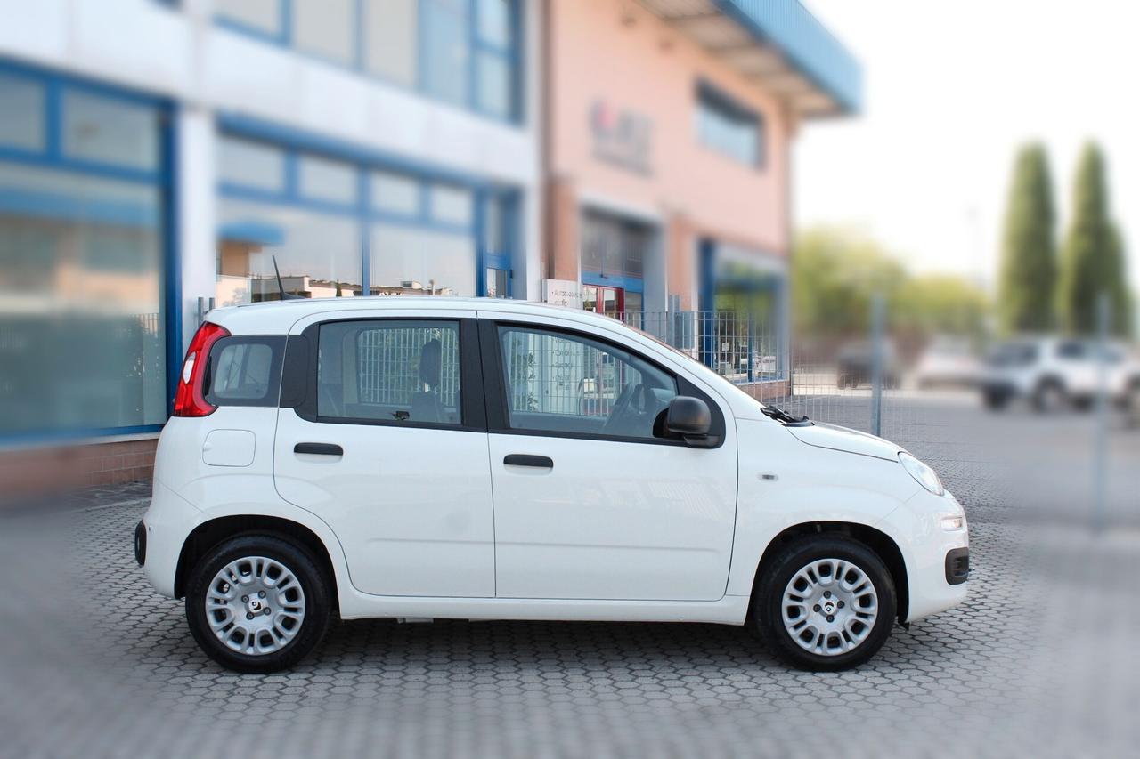 Fiat Panda 1.0 FireFly S&S Hybrid Pandina