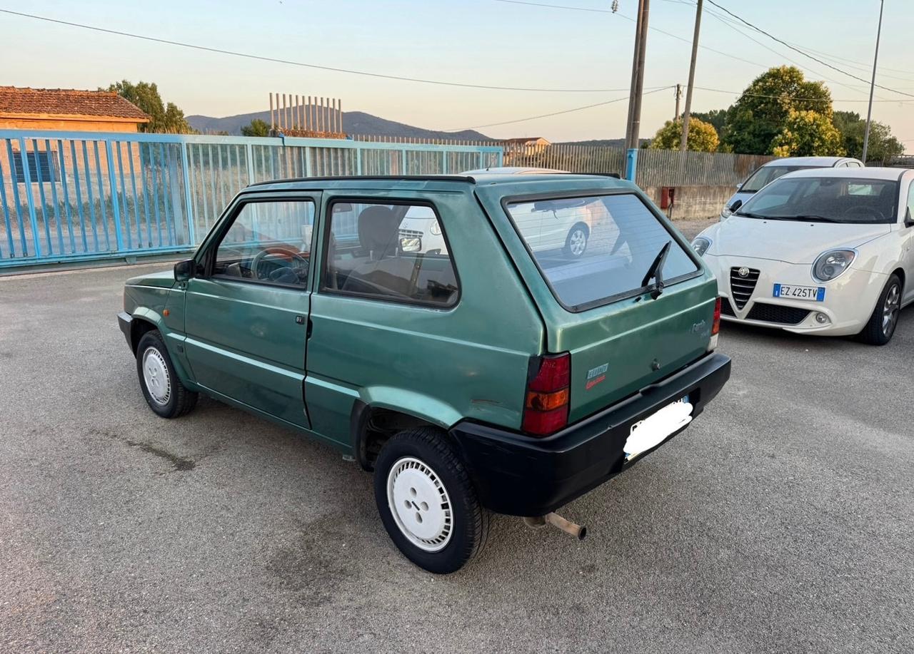 Fiat Panda 1100 i.e. cat Hobby