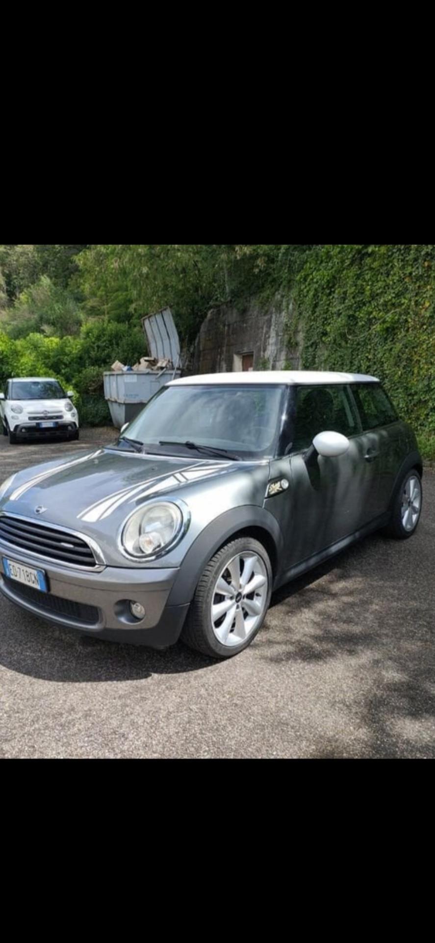 Mini 14. RAY (55kW)
