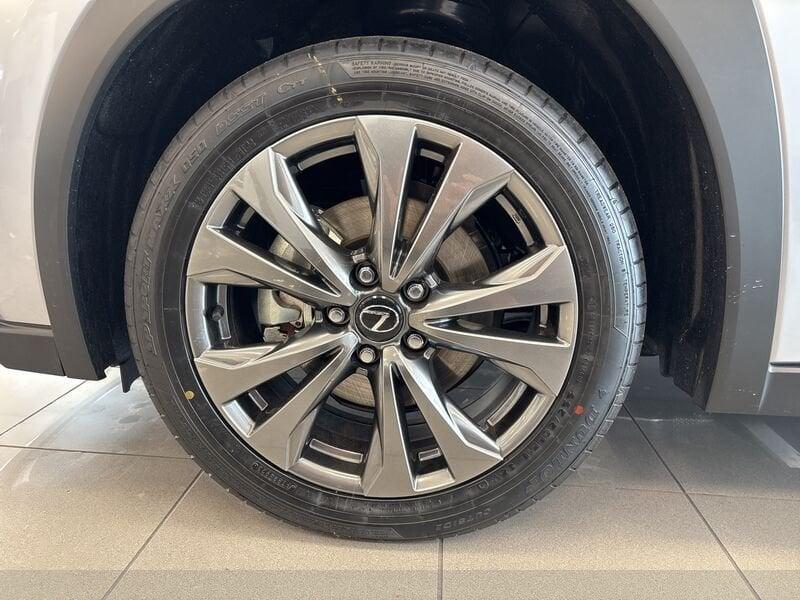 Lexus UX UX250H UX300H 2WD F-DESIGN MY24