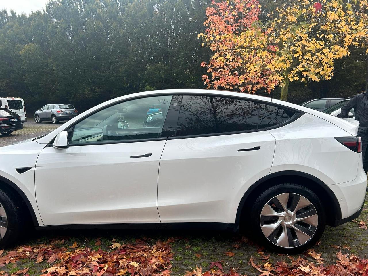 Tesla Model Y Model Y Long Range AWD