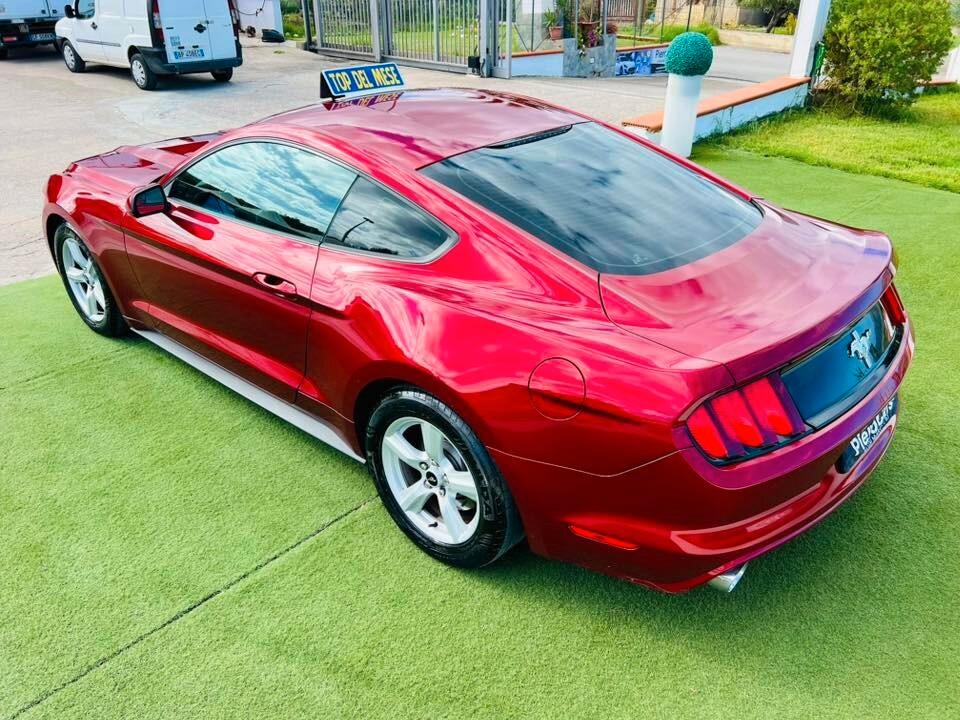Ford Mustang Fastback 3.7 310CV