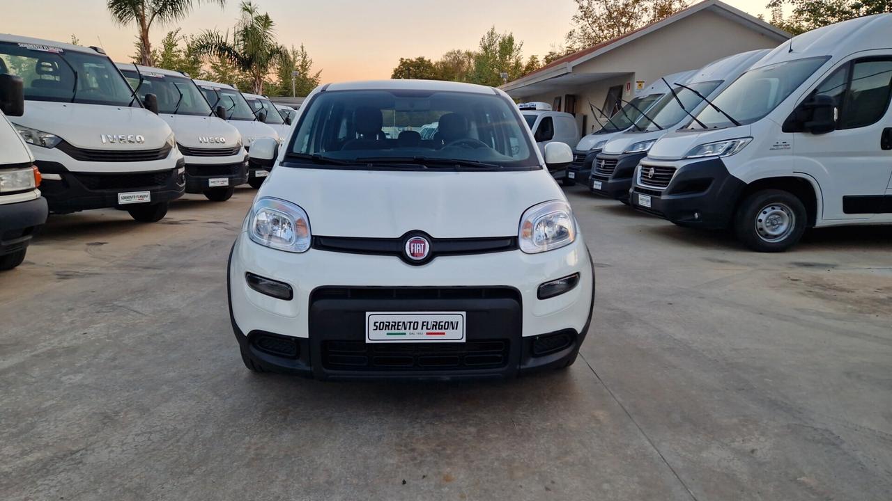 Fiat Panda Cross 1.0 FireFly 70 CV S&S Hybrid