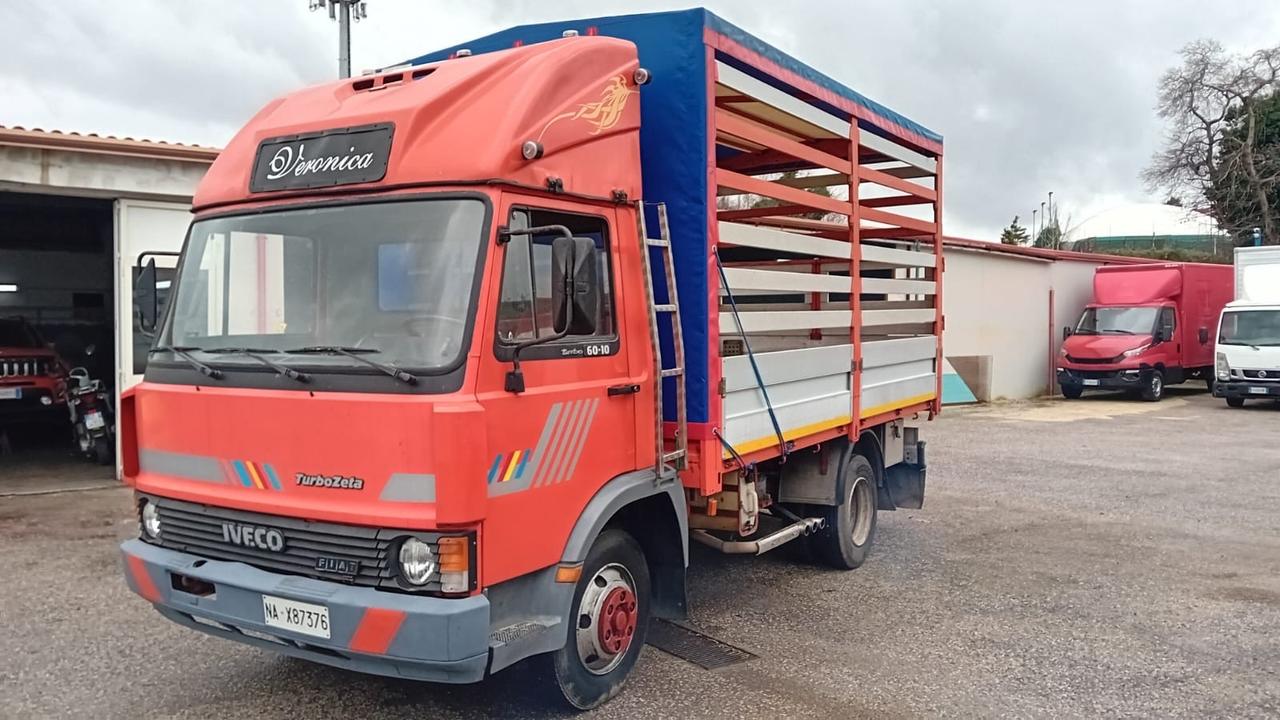 Iveco Seleziona Iveco turbo zeta 50-10-cassone con centina -1984