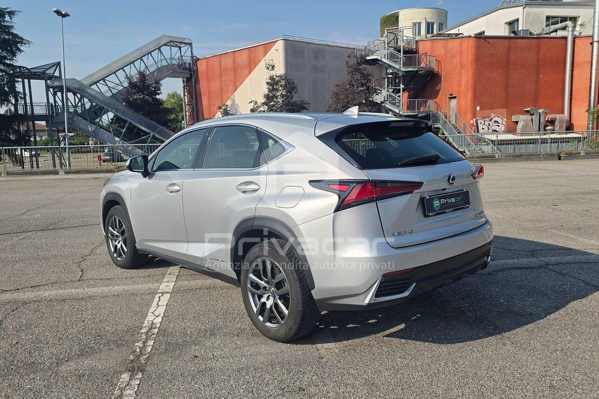 LEXUS NX Hybrid 4WD Business