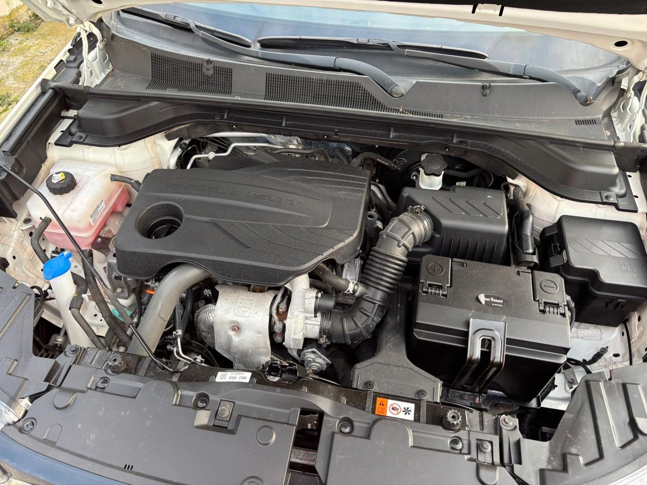 Ssangyong Korando 1.5 GDI-Turbo 2WD Icon