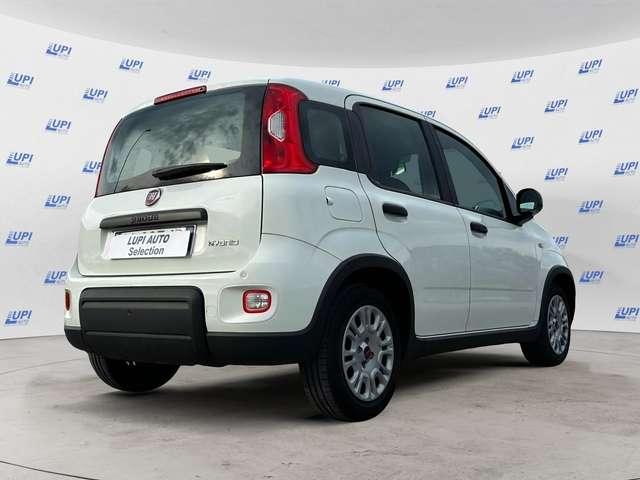Fiat Panda 1.0 firefly hybrid s&s 70cv 5p.ti