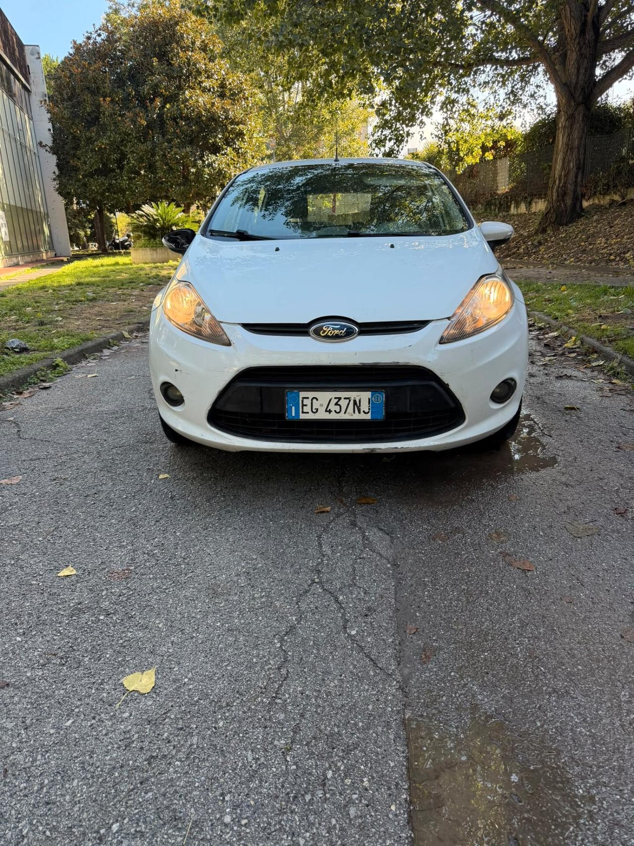 Ford Fiesta 1.2 82 CV 5 porte Titanium