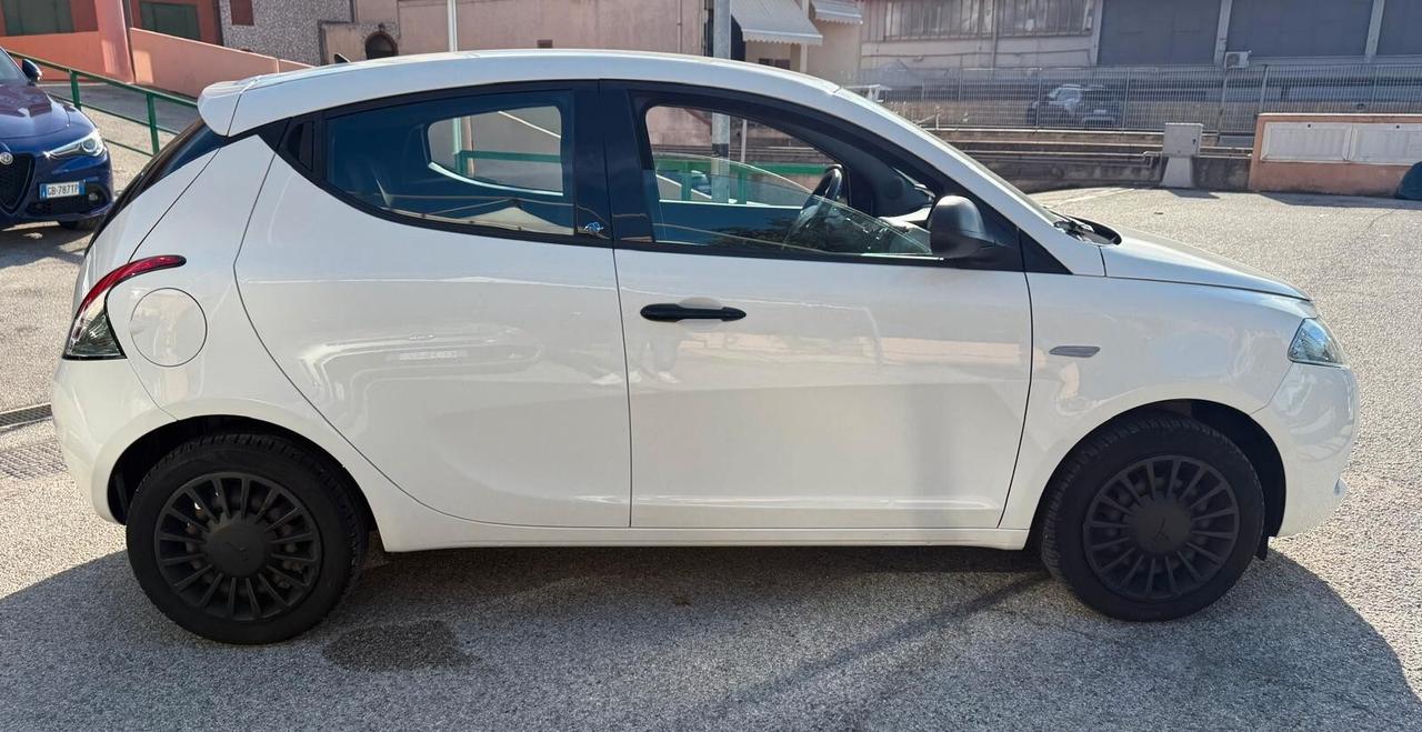 Lancia Ypsilon 1.2 69 CV 5 porte Elefantino Blu