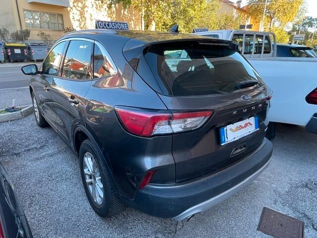 Ford Kuga 2.0 EcoBlue Hybrid 150 CV 2WD Titanium Business