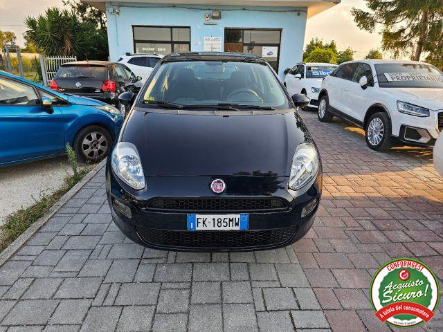 FIAT Punto 1.4 8V 5 porte Natural Power Street