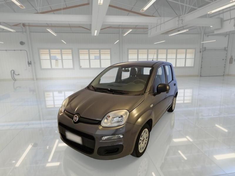 FIAT PANDA 1.2 69cv E6d-Temp Easy 5 PORTE
