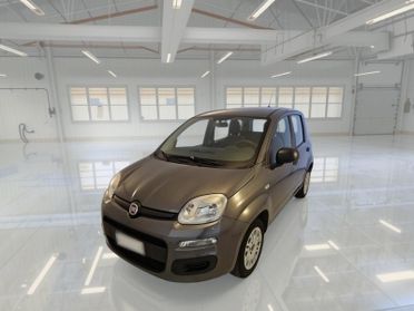 FIAT PANDA 1.2 69cv E6d-Temp Easy 5 PORTE