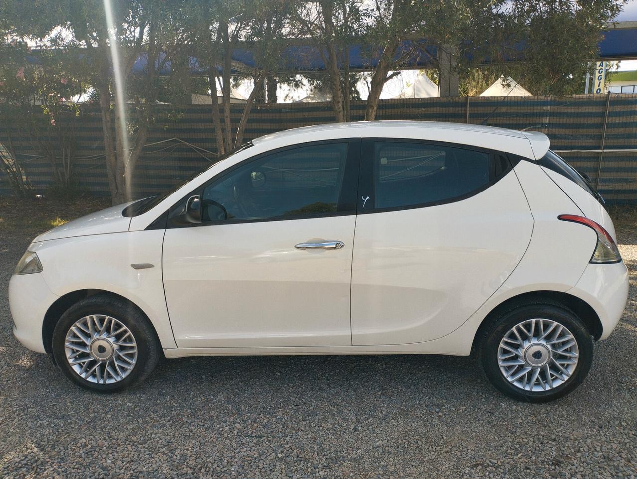 Lancia Ypsilon 1.3 MJT 16V 95 CV 5 porte S&S Platinum