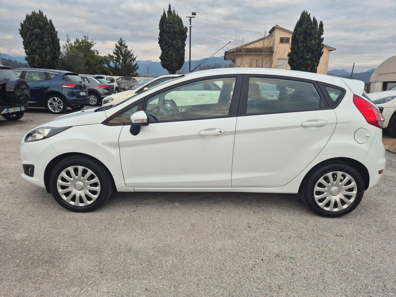Ford Fiesta 1.4 5 porte Bz.- GPL Business