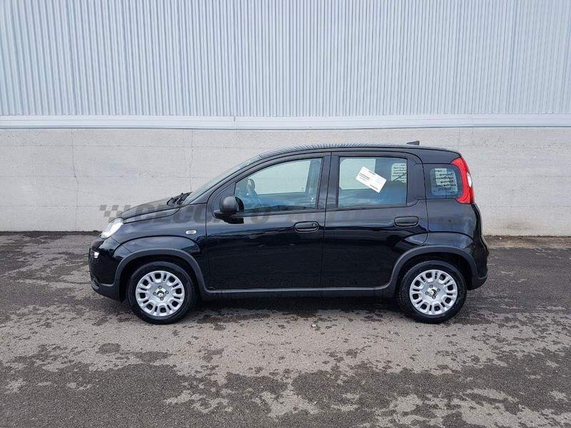 FIAT Panda Panda 1.0 70cv Hybrid Panda