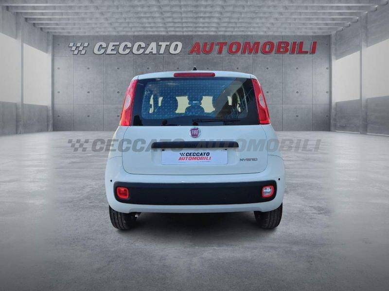 FIAT Panda Panda 1.0 70cv Hybrid Icon