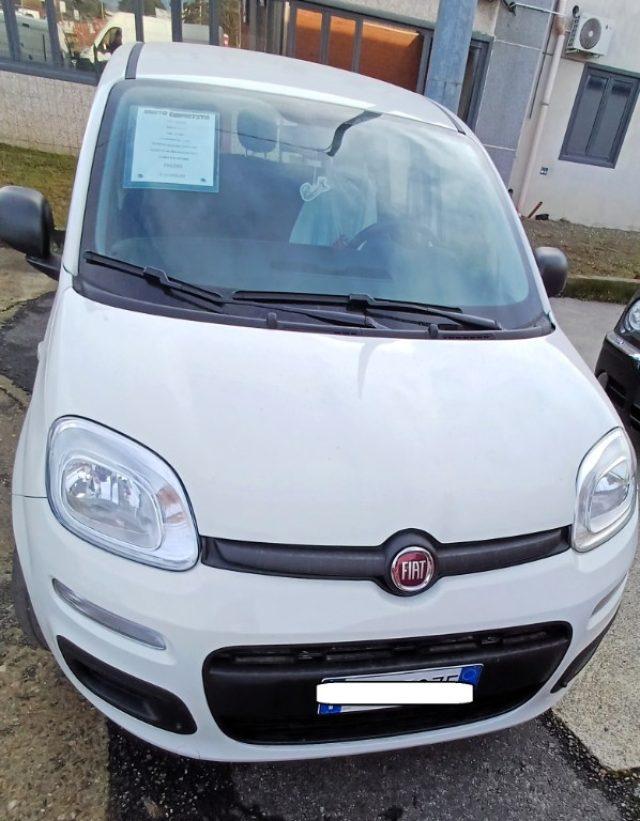 FIAT Panda 1.2 GARANZIA POCHI KM