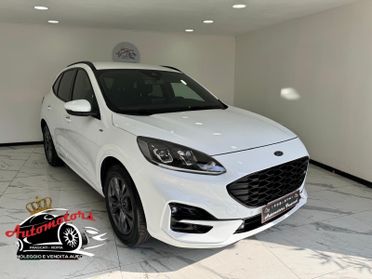 Ford Kuga 1.5 EcoBlue 120 CV-ST LINE-AUTOMATICA