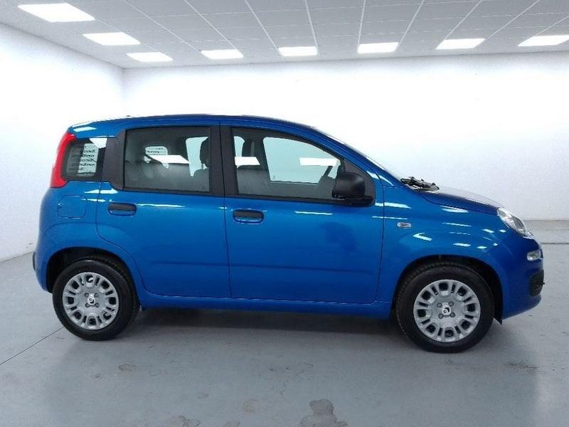 FIAT Pandina 1.0 firefly hybrid Icon s e s 70cv 5p.ti