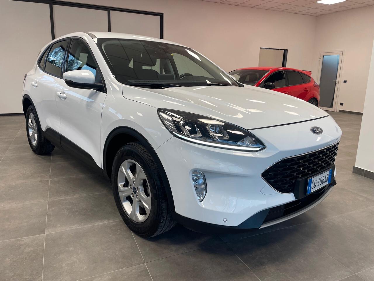 Ford Kuga 1.5 EcoBlue 120 CV 2WD Connect