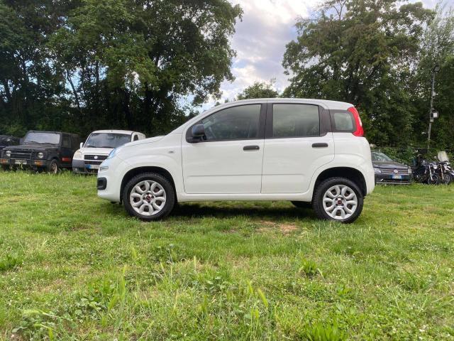 Fiat New Panda Gomme nuove! * ADAS * Sensori park. + Com. V