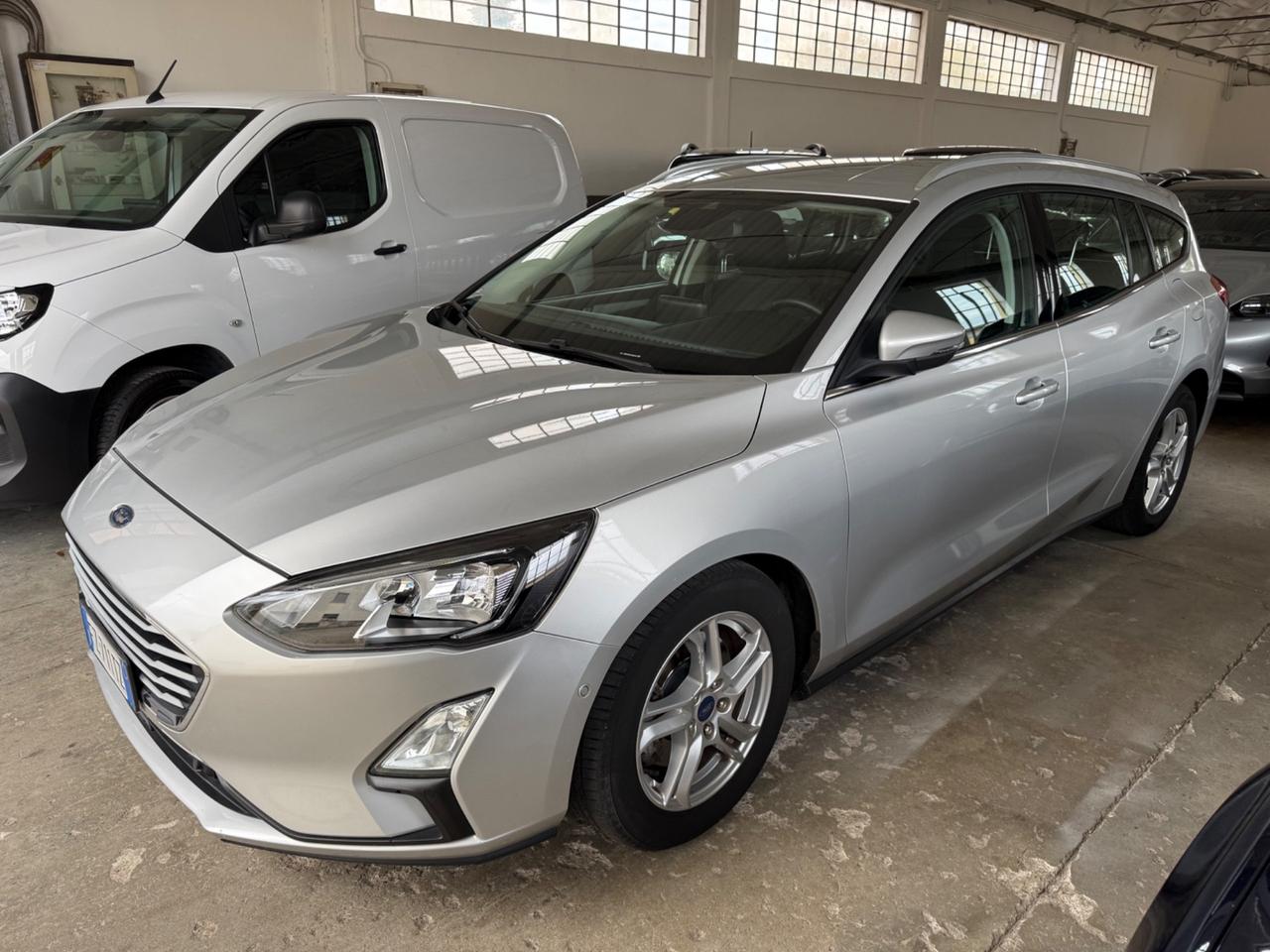 Ford Focus 1.5 EcoBlue 120 CV automatico SW Business Co-Pilot