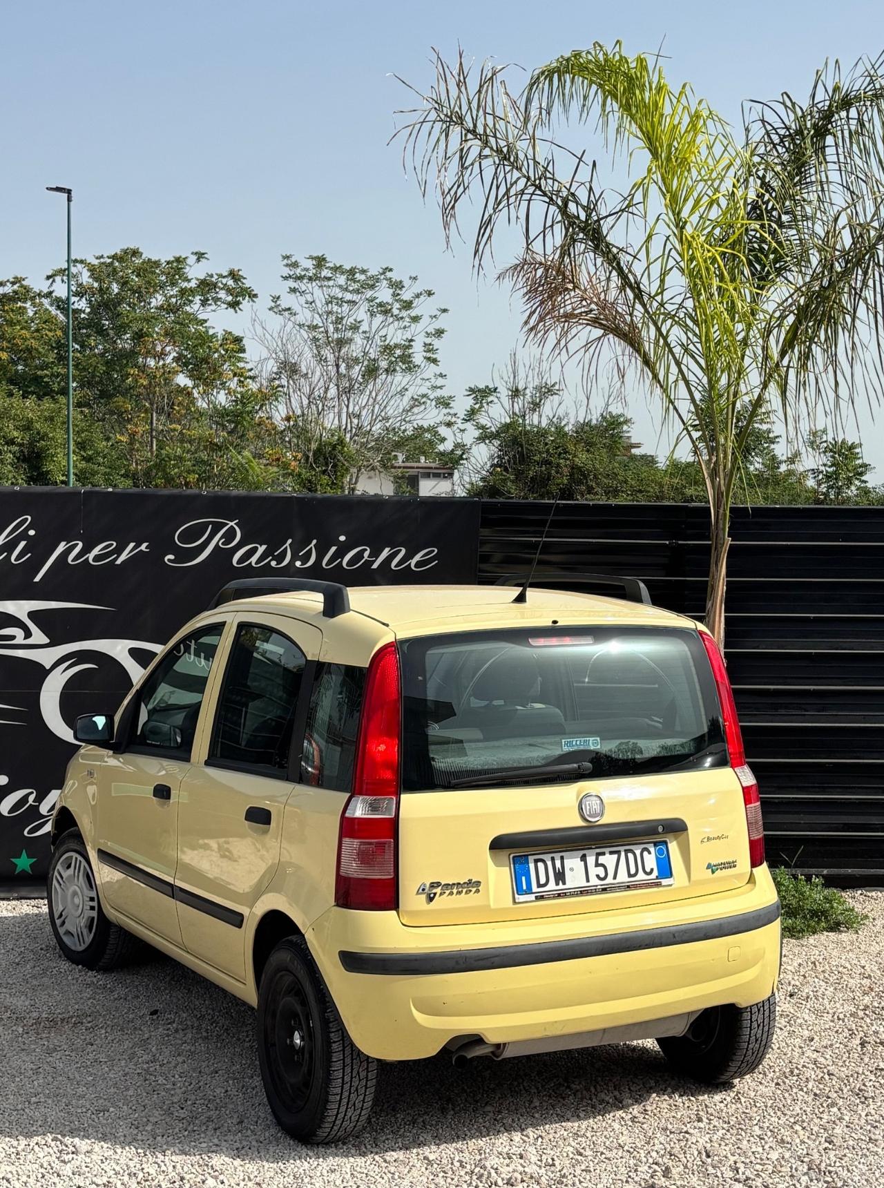 Fiat Panda 1.2 Climbing Natural Power